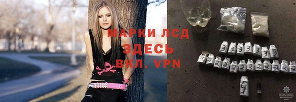 прущие грибы Осташков