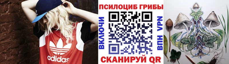 Псилоцибиновые грибы прущие грибы  закладки  Сельцо 